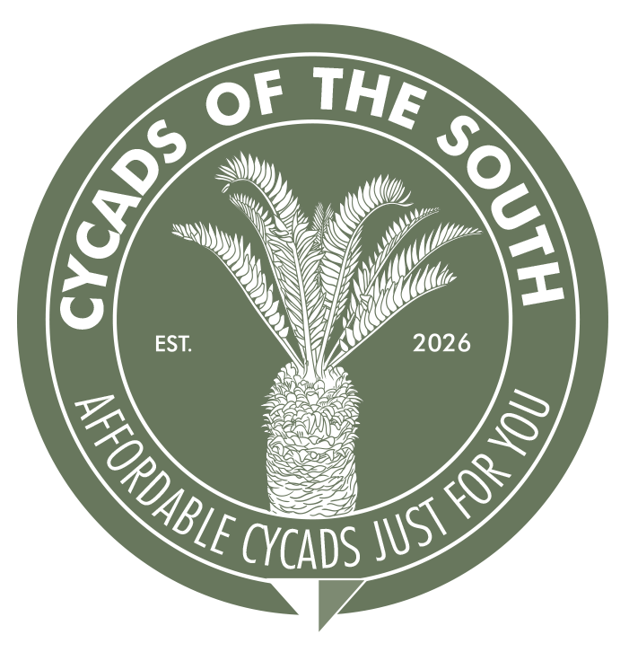 Cycads of the South